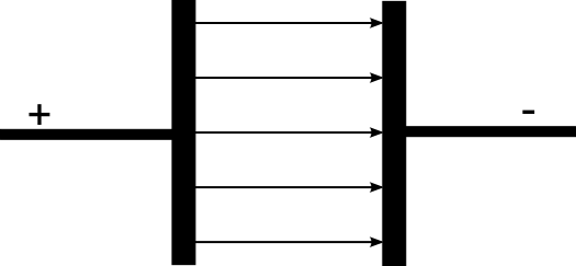 Feldlinien homo
